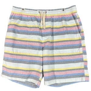 Penguin Pastel Stripe Board Shorts Men's Size Large Swimwear